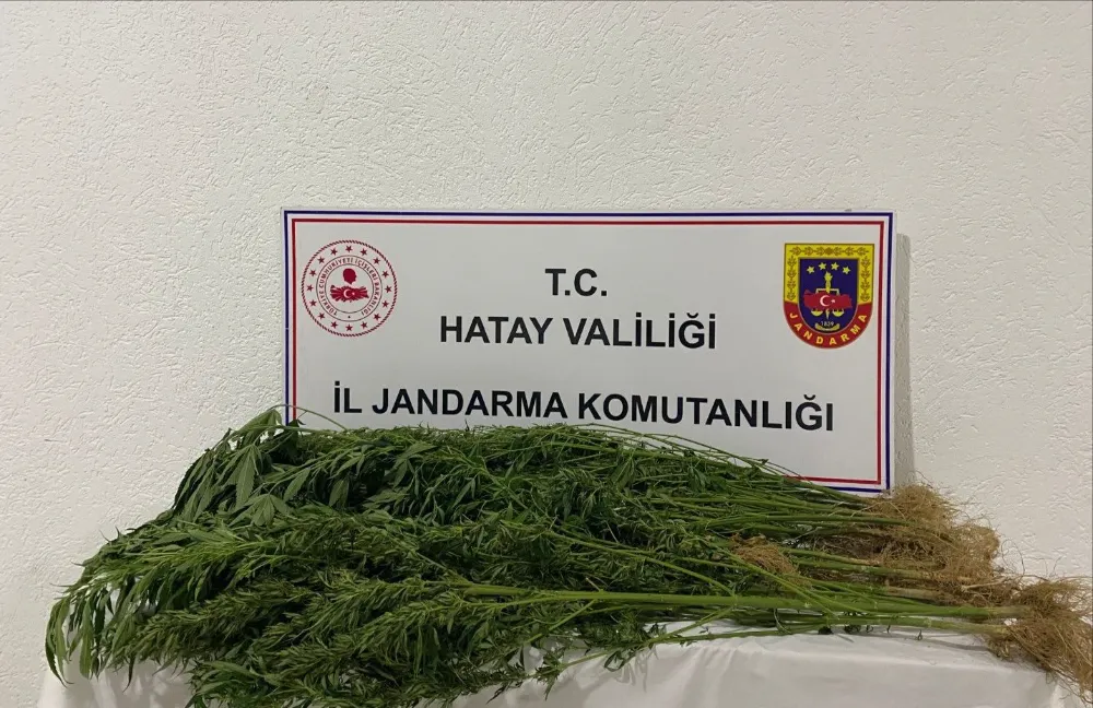 HATAY İL JANDARMA EKİPLERİ  UYUŞTURUCU VE KAÇAKLILIĞA KARŞI KARALILIKLA DEVAM EDİYOR