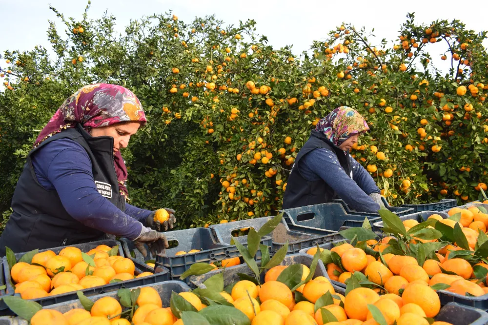 HBB’DEN ÜRETİCİYE VE TOPLUMA ÇİFTE DESTEK