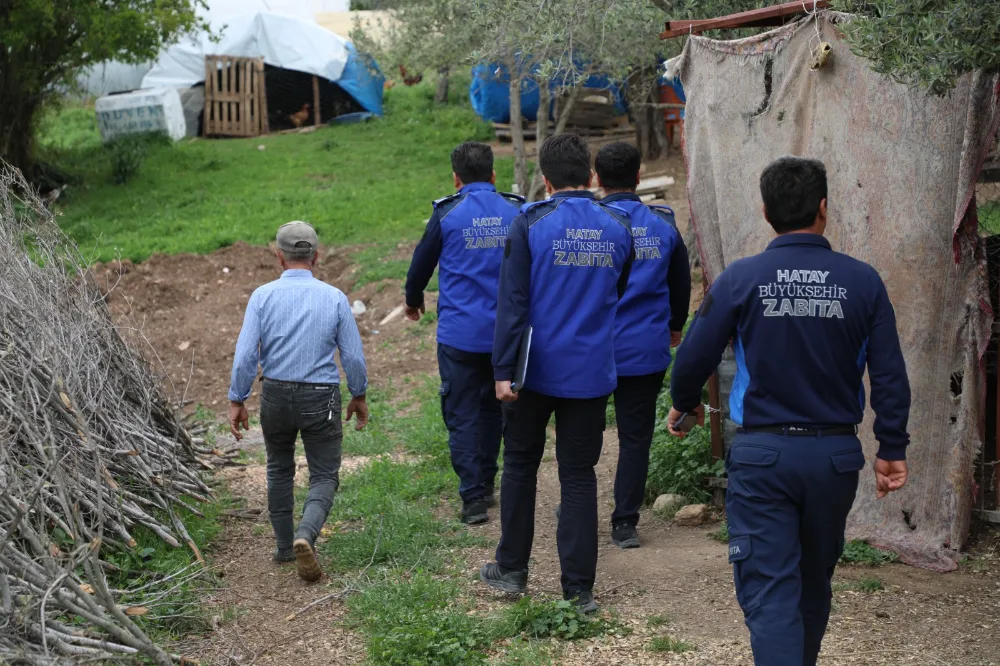 HATAY