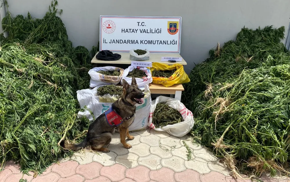 JANDARMA’DAN UYUŞTURUCU OPERASYONU!