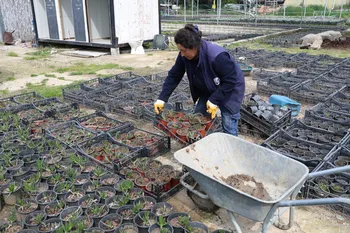 HATAY BÜYÜKŞEHİR BELEDİYESİ’NDEN ÜRETİME KATKI SAĞLAYAN PROJE